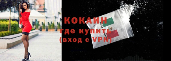 гашик Богородск