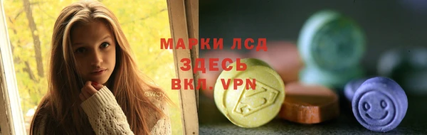 гашик Богородск