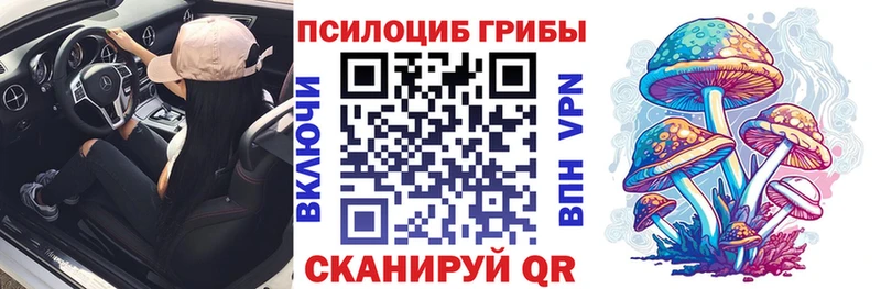 Псилоцибиновые грибы Magic Shrooms  Череповец 